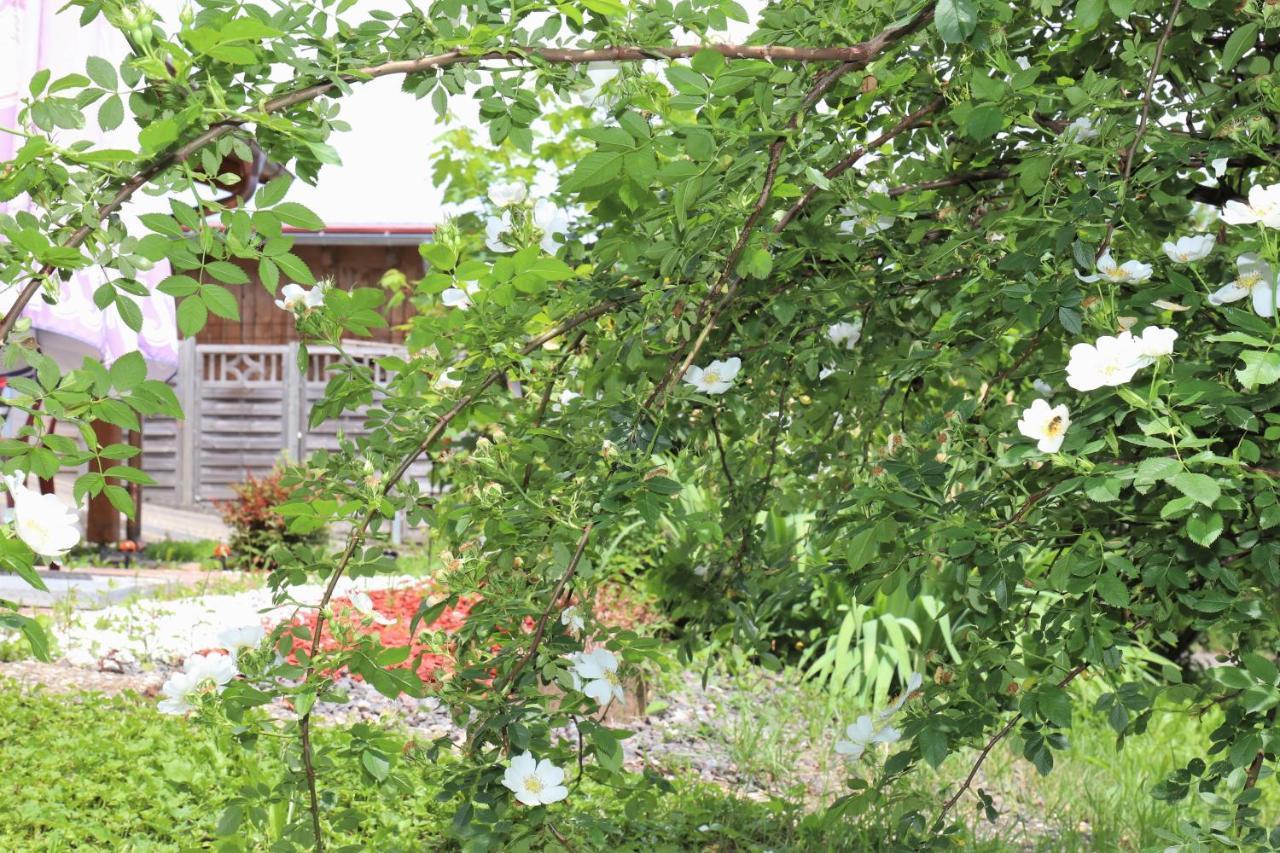 Gaestehaus Willaringen Rickenbach  Bagian luar foto